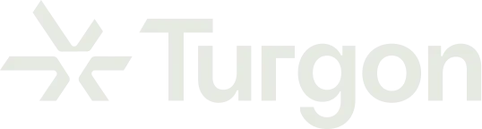 Turgon AI